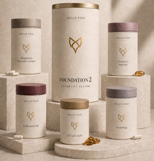 Hello Foxi Foundation 2